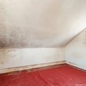 143 Prospect Ave, San Francisco, CA