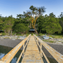 Lot 47 Driftwood Shores, Henry Island, WA