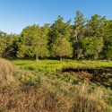 Lot 47 Driftwood Shores, Henry Island, WA