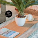 Bright and inviting living space, featuring a cozy seating area and a touch of greenery.