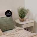 Cozy bedroom featuring natural textures, a minimalist design, and a refreshing indoor plant for added warmth.