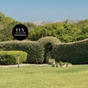 Discover a tranquil villa surrounded by lush greenery and stunning natural landscapes, perfect for relaxation.