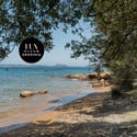 Discover this picturesque beachfront property, where tranquil waters meet lush greenery for a perfect escape.