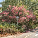 458 Huger Street, Charleston, SC