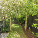 67 Warren Street, Charleston, SC