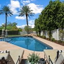 Inviting backyard pool surrounded by mature landscaping and ample deck space for lounging and entertaining in Phoenix.