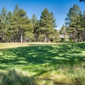 Beautiful golf course scenery with rolling greens and mature pine trees creating a serene backdrop for this luxury Flagstaff property.