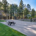 Community basketball and recreation space nestled among towering pine trees, offering convenient outdoor activities near the home.