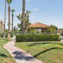 Attractive community common area featuring manicured lawns, mature palm trees, and charming pathways. Residents enjoy beautifully maintained surroundings within this Scottsdale neighborhood.