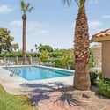 Resort-inspired community pool area featuring a shaded ramada, mature palm trees, and relaxing outdoor seating. An excellent amenity for recreation and social gatherings.
