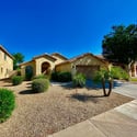 Professionally maintained desert landscaping with palm trees, decorative rock, and established greenery creates a welcoming first impression and easy outdoor maintenance.