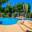 Another stunning perspective of the custom pool highlights the elevated spa, cascading waterfall, mature palms, desert landscaping, and resort-style outdoor living spaces that complete this Scottsdale property.