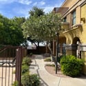 Well-maintained pathways wind through mature landscaping, connecting residents to the pool and shared amenities while creating a welcoming neighborhood atmosphere within the gated community.