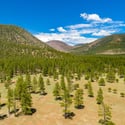 150 Flat Rock, Flagstaff, AZ