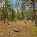 3387 Lee Doyle, Forest Highlands, Flagstaff, AZ