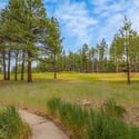 3387 Lee Doyle, Forest Highlands, Flagstaff, AZ