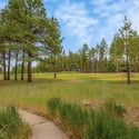 3387 Lee Doyle, Forest Highlands, Flagstaff, AZ