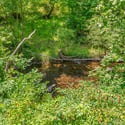11312 Highland School Road, Myersville, MD