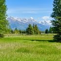 445 W. Kings Hwy, Jackson, WY