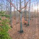 12333 Mummert Road, Clear Spring, MD
