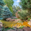 4443 W. Cottonwood Pl., Littleton, CO