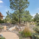 9359 Hidden Pines Court, Parker, CO