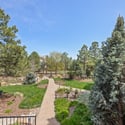 9359 Hidden Pines Court, Parker, CO