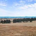 30200 Kootney St, Elizabeth, CO