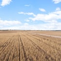 30200 Kootney St, Elizabeth, CO