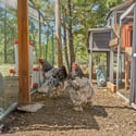 9905 Bayou Ridge Trail, Parker, CO