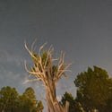 7445 Pinon Heights, Pueblo, CO