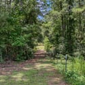 14909 Pine Tree Road, Montgomery, TX