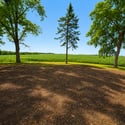 16797 W Barclay Road, Polo, IL
