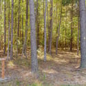 4637 Array Drive, Chapel Hill, NC