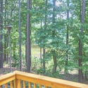 3828 Hickory Manor Dr, Apex, NC