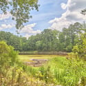 3828 Hickory Manor Dr, Apex, NC