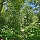 Photo of xxxx Goss Ridge Road