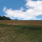 Photo of Mitchell-Dewitt Rd