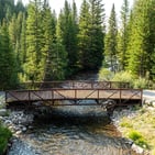 Photo of 108 Ginger Quill Lane