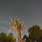 Photo of 7445 Pinon Heights