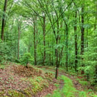 Photo of 1138 Douglas Mountain Trail