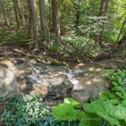 Photo of 30725 HOCKLEY ROAD