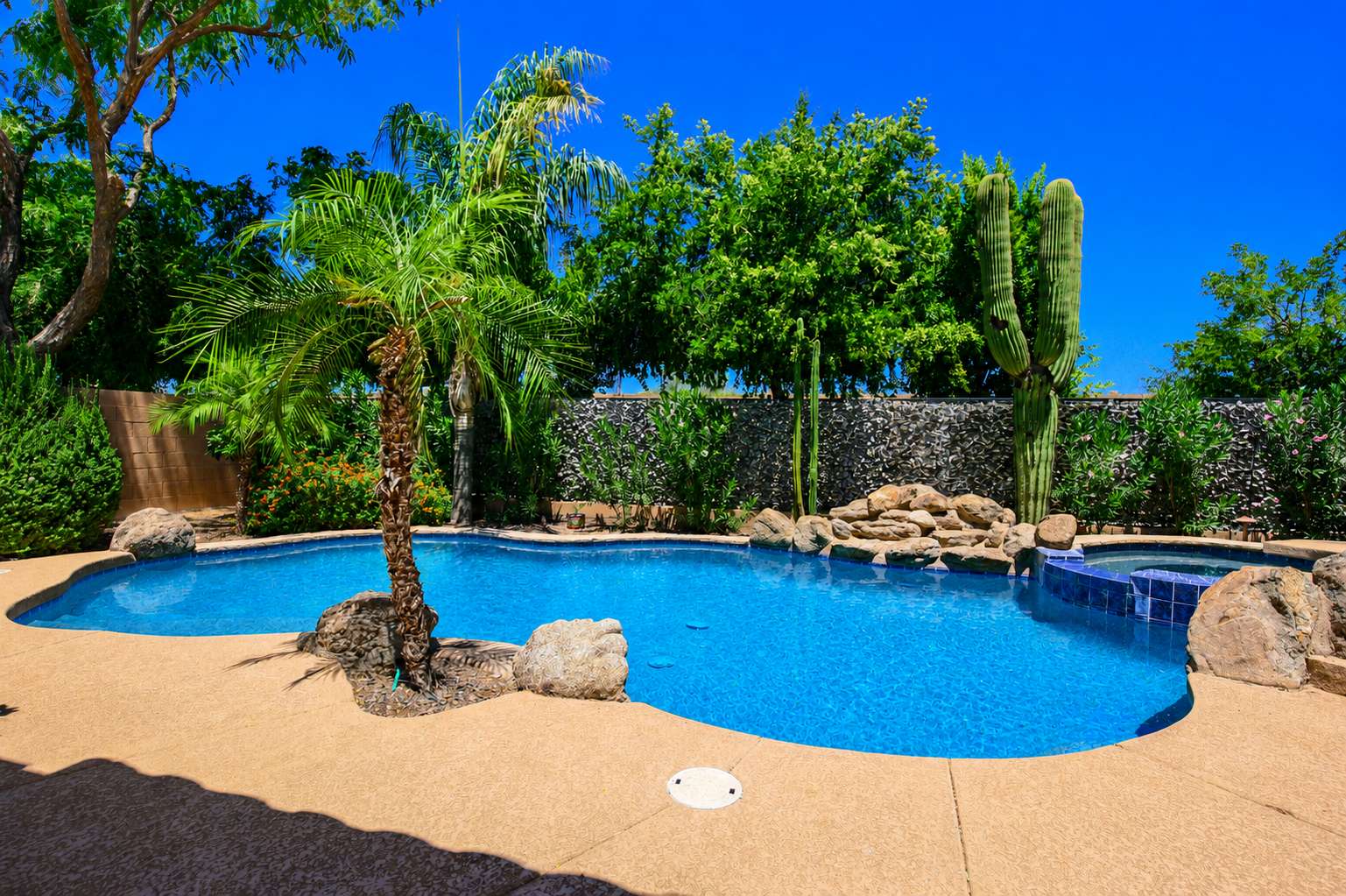 57 of 72. Enjoy a peaceful backyard retreat with a sparkling pool, raised spa, mature palms, decorative rock accents, and lush landscaping designed for relaxing and entertaining.