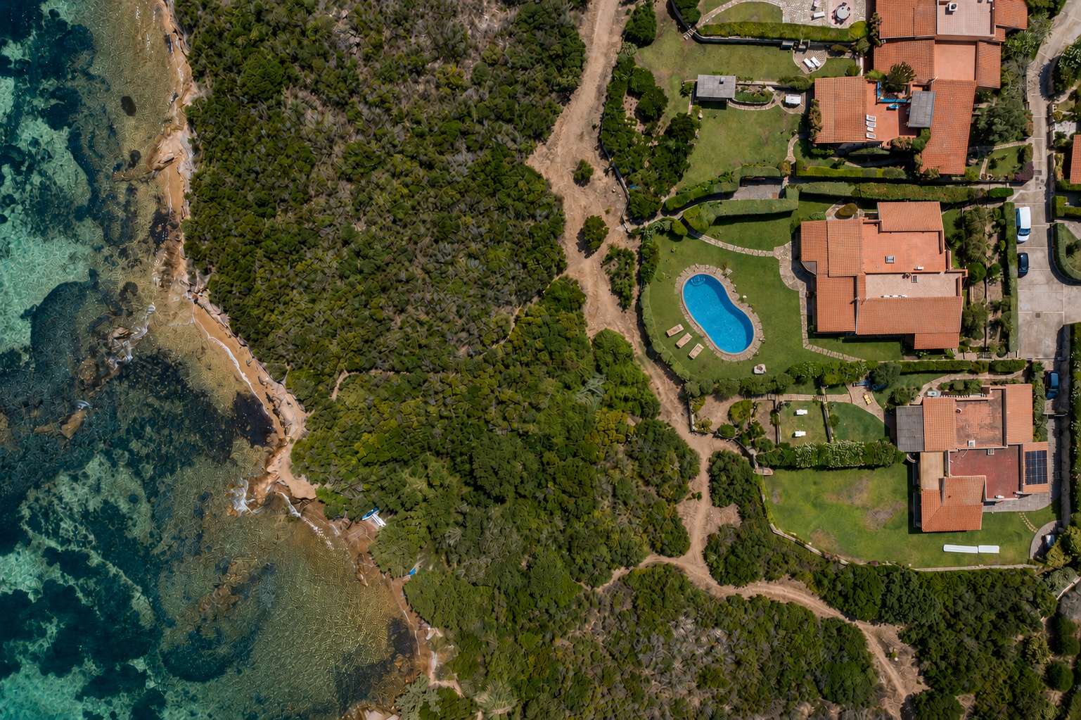66 of 66. render with a swimming pool