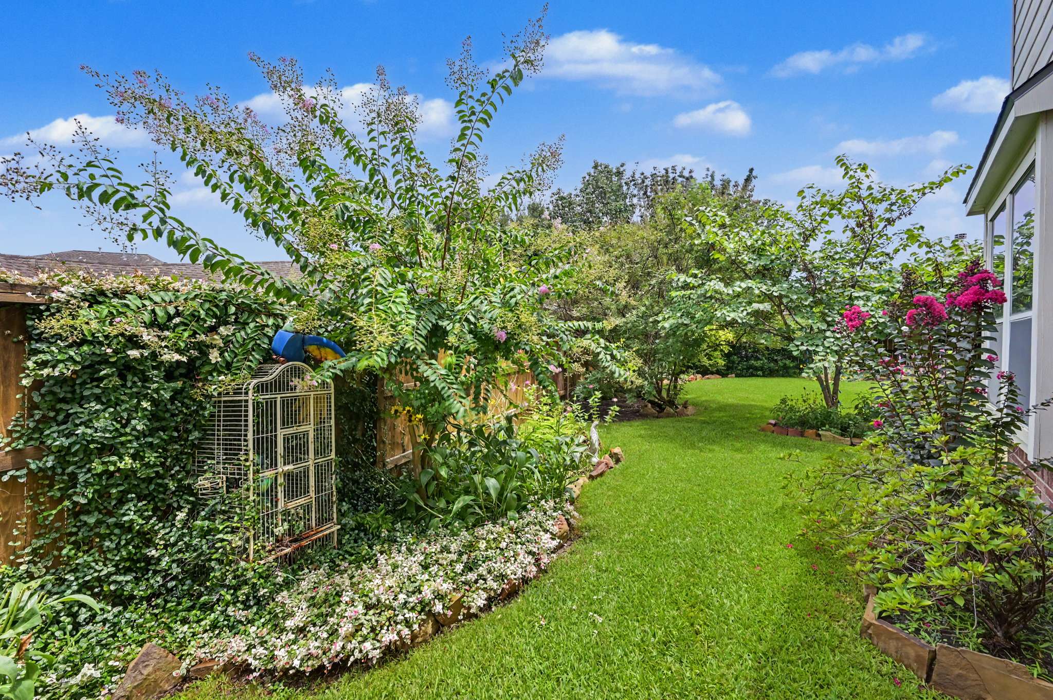 10 of 71. Lush garden oasis features winding pathways, vibrant plants, and a tranquil atmosphere perfect for relaxation.