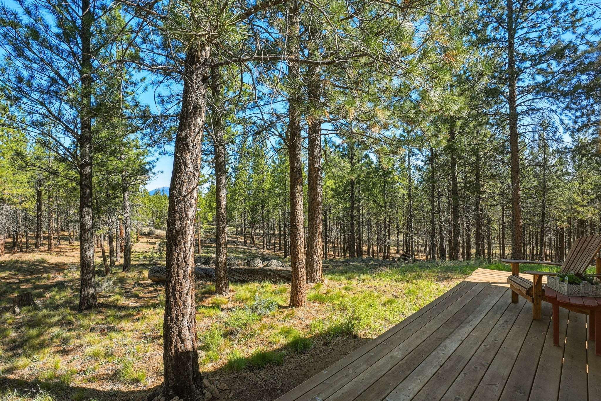 33 of 61. Deck access from the primary bedroom. Discover a secluded retreat surrounded by tall pines, perfect for outdoor adventures and tranquility.