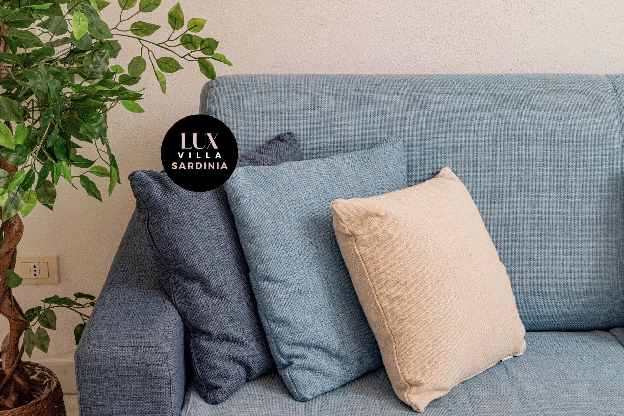 64 of 66. Cozy, inviting space featuring a comfortable sofa adorned with textured cushions and greenery for warmth.