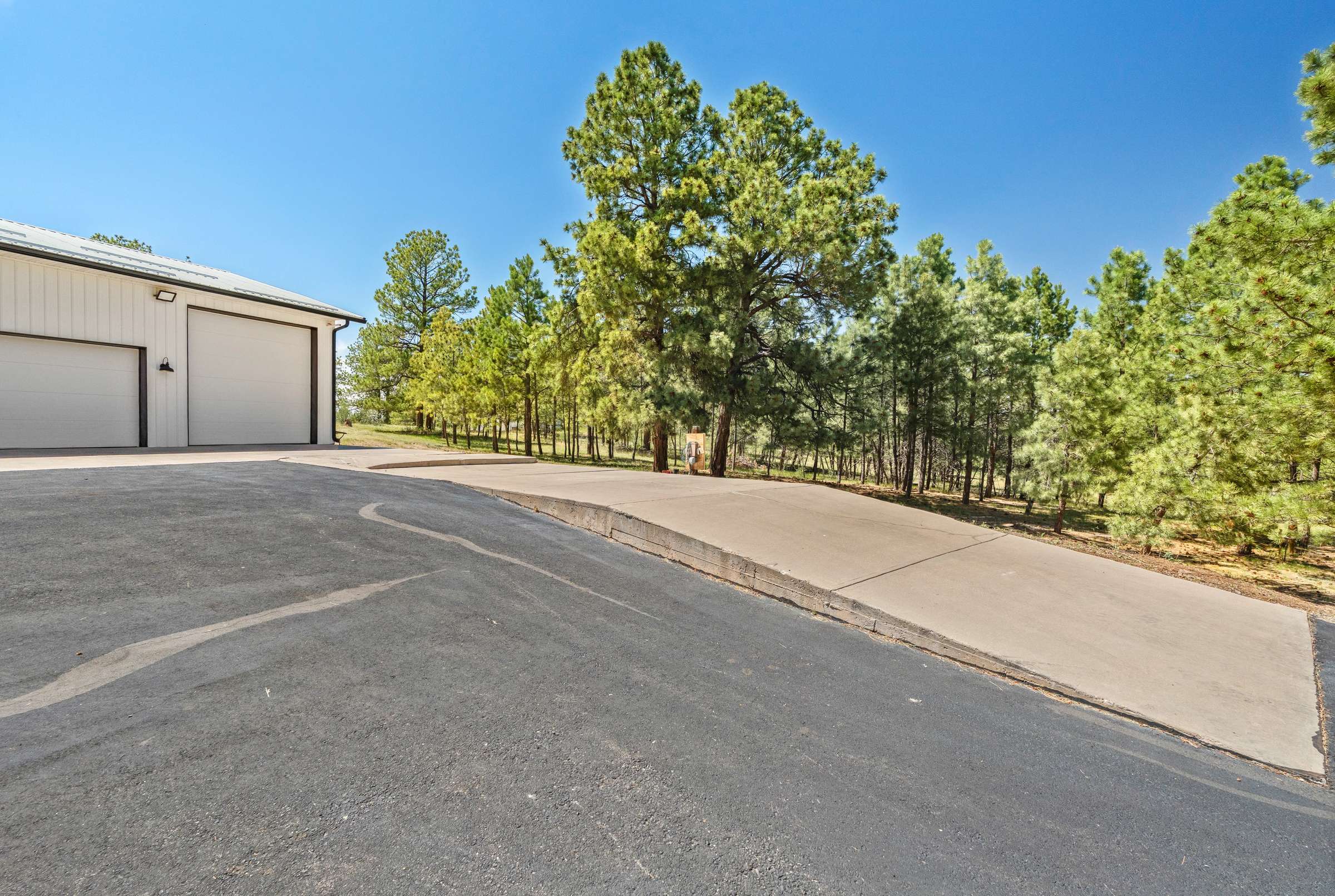 49 of 59. 