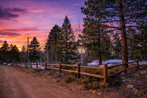 Nature's Charm Close to Boulder
