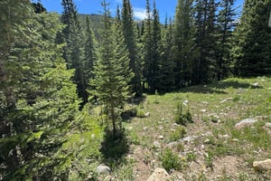 Your basecamp for outdoor exploration